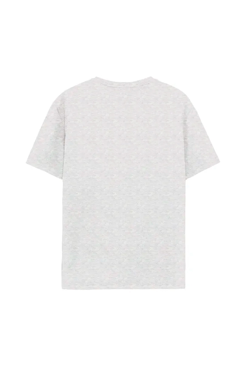 CAMISETA TEXEL REGULAR FIT GRIS