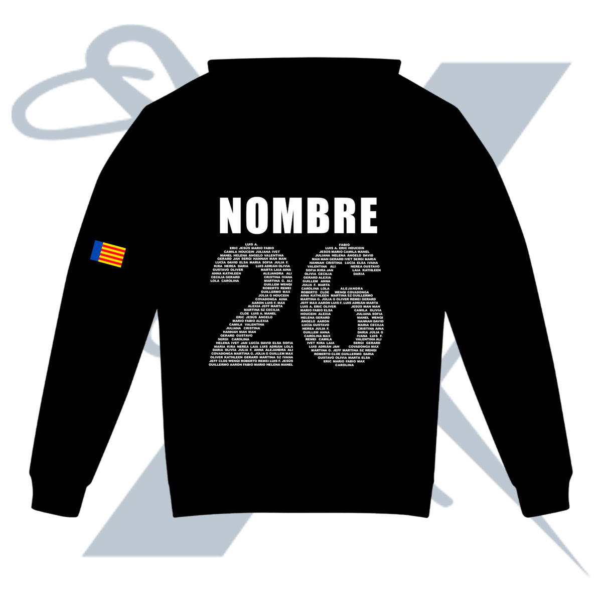 sudadera personalizada para colegio mayor con nombre y número de promoción en la espalda