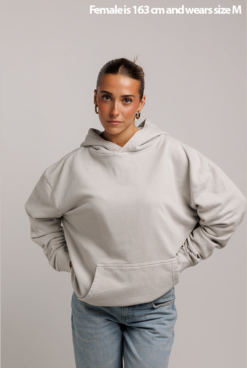 SUDADERA HUDSON EFECTO DESGASTADO GRIS CLARO